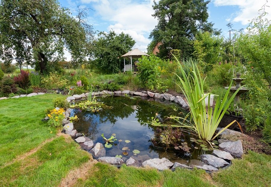 Een mooie visvijver in uw tuin
